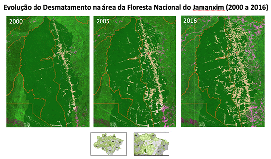 Evolução do Desmatamento na áre da Floresta Nacional do Jamanxim (2000 a 2016)