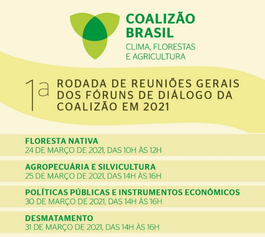 b54 texto3