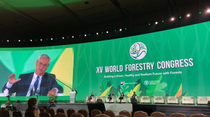 66 JC World Forestry Congress