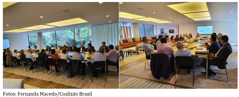 texto 7 foto 1 b45
